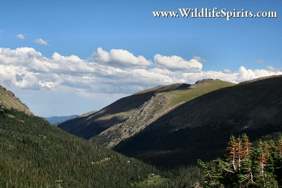 Click Picture to send as an  E-PostCard 65k 550x367